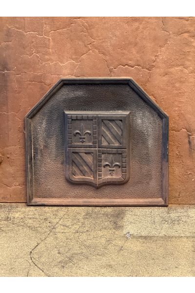 Coat of Arms Fire Back