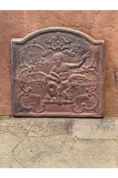 Zeus and Leda Fireback
