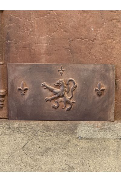 Coat of Arms Fire Back