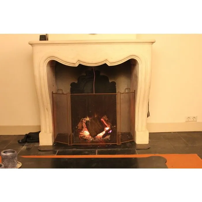 Decorative French Fireplace Screen, How To Repair Fireplace Screen