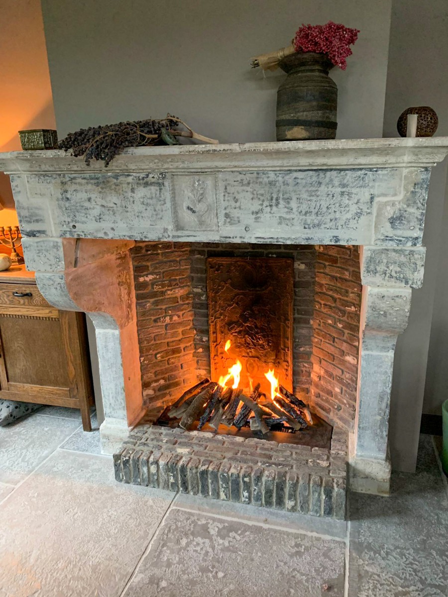 Burning Fireplace with Fireback