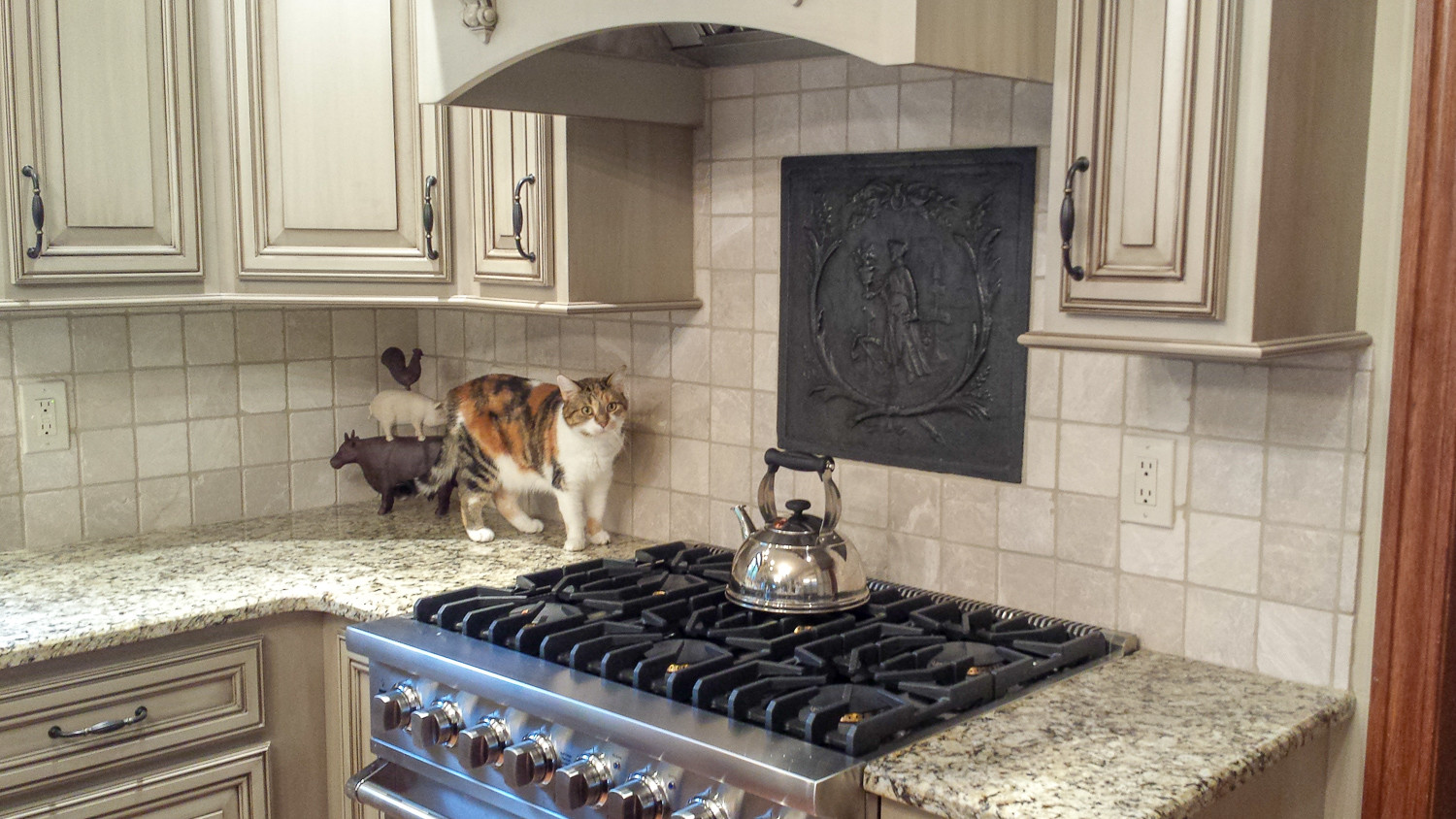 Fireback backsplash in Munster, Indiana sourced from https://www.firebacks.net