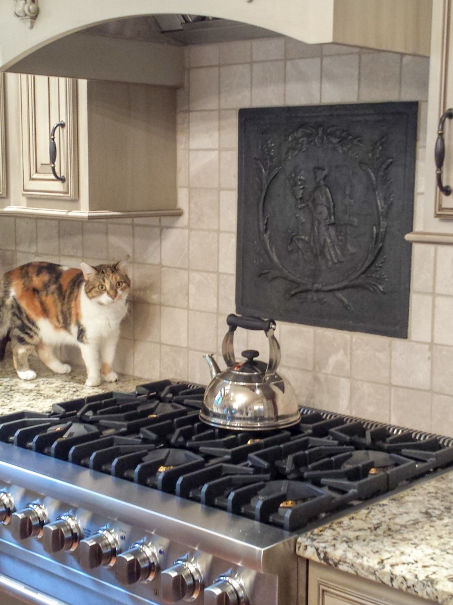 Fireback backsplash in Munster, Indiana sourced from https://www.firebacks.net